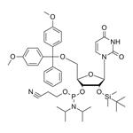 5'-O-DMT-2'-O-TBDMS-U-CE