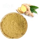 Ginger extract powder