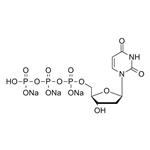 dUTP-trisodium-salt