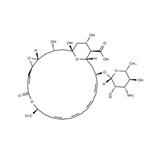 Natamycin