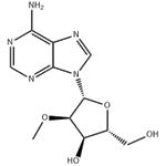 2'-O-Methyladenosine