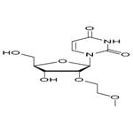 2'-O-(2-Methoxyethyl)-Uridine；2’-MOE-U