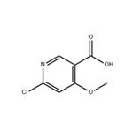 6-Chloro-4-methoxynicotinic acid