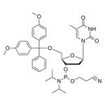 DMT-dT-CE