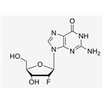 2'-F-2'-deoxyguanosine；2‘-F-dG