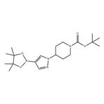 tert-Butyl 4-[4-(4,4,5,5-tetramethyl-1,3,2-dioxaborolan-2-yl)-1H-pyrazol-1-yl]piperidine-1-carboxylate