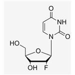 2'-F-2'-deoxyuridine；2‘-F-dU