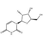 2'-Fluoro-2'-deoxyuridine