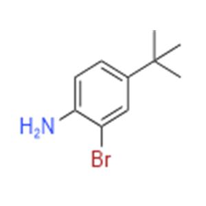 2-BROMO-4-TERT-BUTYLANILINE