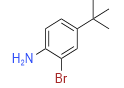 2-BROMO-4-TERT-BUTYLANILINE