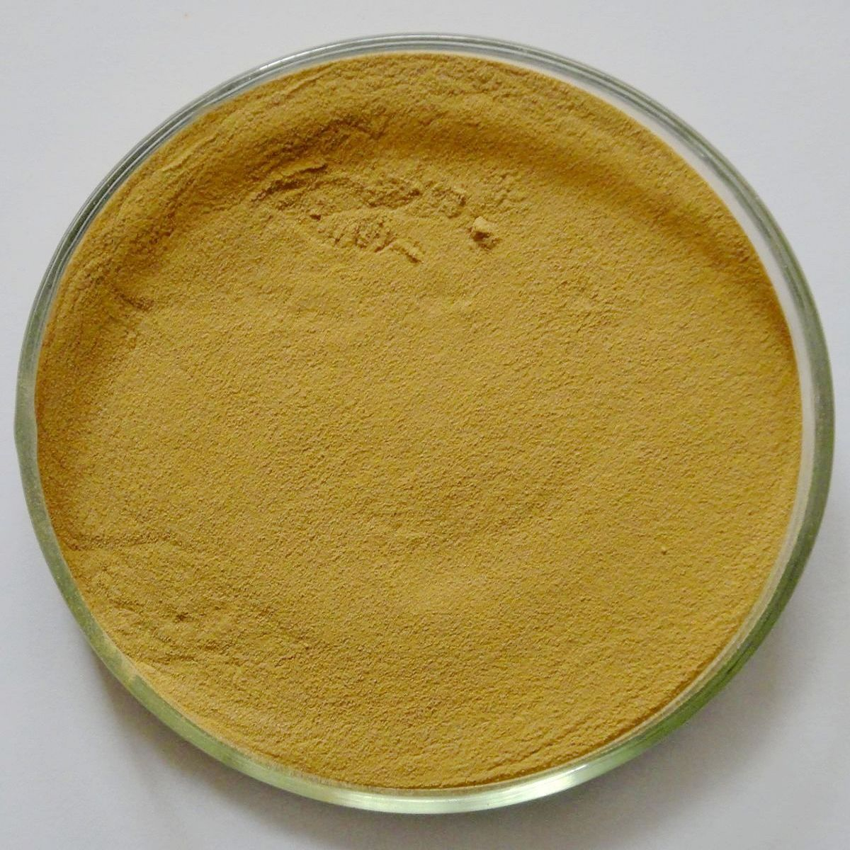 Ginger extract powder