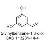 2,5-Diacetoxystyrene