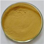 Ginger extract powder