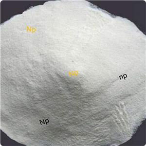 Nandrolone Phenylpropionate