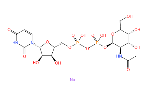 UDP-ALPHA-D-N-ACETYLGALACTOSAMINE, DISODIUM SALT