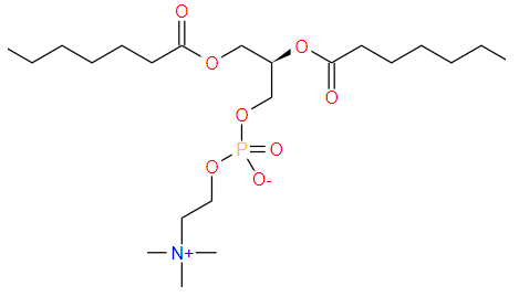 1,2-distearoyl-sn-glycero-3-phosphocholine