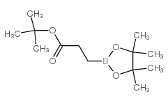 tert-Butyl 3-(4,4,5,5-tetramethyl-1,3,2-dioxaborolan-2-yl)propanoate