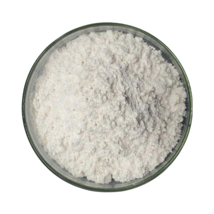 Polymethylmethacrylate