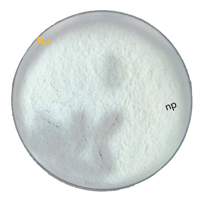 1,3,5-Tribromobenzene