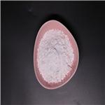 Paliperidone Palmitate