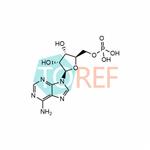 Adenosine phosphate