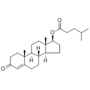 Testosterone isocaproate