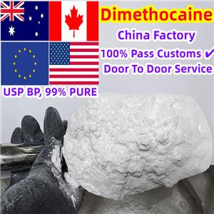 Dimethocaine