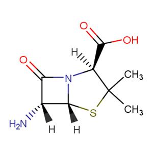 6-Aminopenicillanic Acid