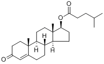 Testosterone isocaproate