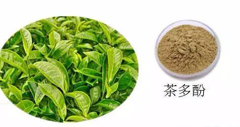 Tea polyphenol