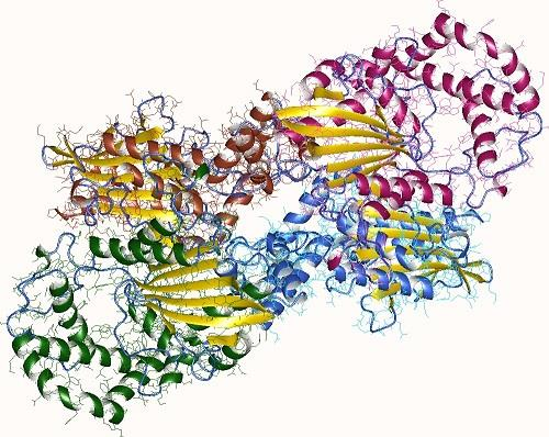 Phosphatase