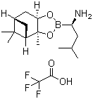 (1R)-(S)-pinanediol-1-Ammonium Trifluoroacetate-3-methlbutane-1-boronate