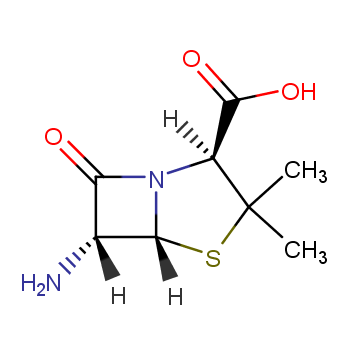 6-Aminopenicillanic Acid