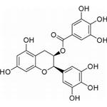 Tea polyphenol