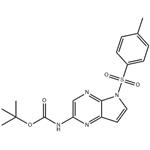 tert-butyl 5-tosyl-5H-pyrrolo[2,3-b]pyrazin-2-ylcarbamate