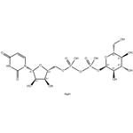 Uridine 5'-diphosphoglucose disodium salt