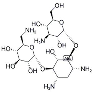 KANAMYCIN