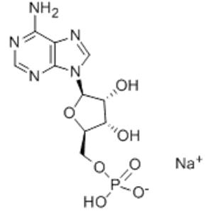 ADENOSINE5'-MONOPHOSPHATESODIUMSALT