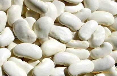 Kidney Bean Extract