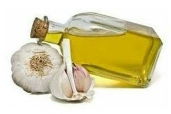 Garlic oil