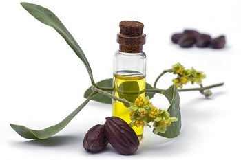 JOJOBA OIL