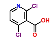 2,4-Dichloronicotinic acid