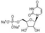 5'-UMP disodium salt