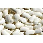 Kidney Bean Extract