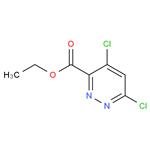 Ethyl 4,6-dichloropyrridazine-3-carboxylate