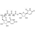 Diquafosol