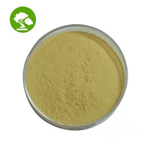 hydrocarbon resin