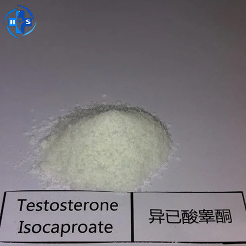 Testosterone isocaproate