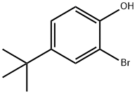 2-Bromo-4-tert-butylphenol