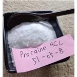 Procaine hydrochloride